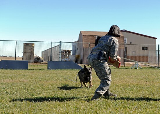 Tech. Sgt. Rachel Calloway, 27th Special Operations Security Forces Squadron Military Working Dog kennel master, decoys during bite training for MWD Fulda, Nov. 15, 2016, at the MWD compound at Cannon Air Force Base, N.M. Air Force MWD handlers are responsible for protecting and defending their installation with their canine counterparts. (U.S. Air Force photo by Staff Sgt. Whitney Amstutz/released)