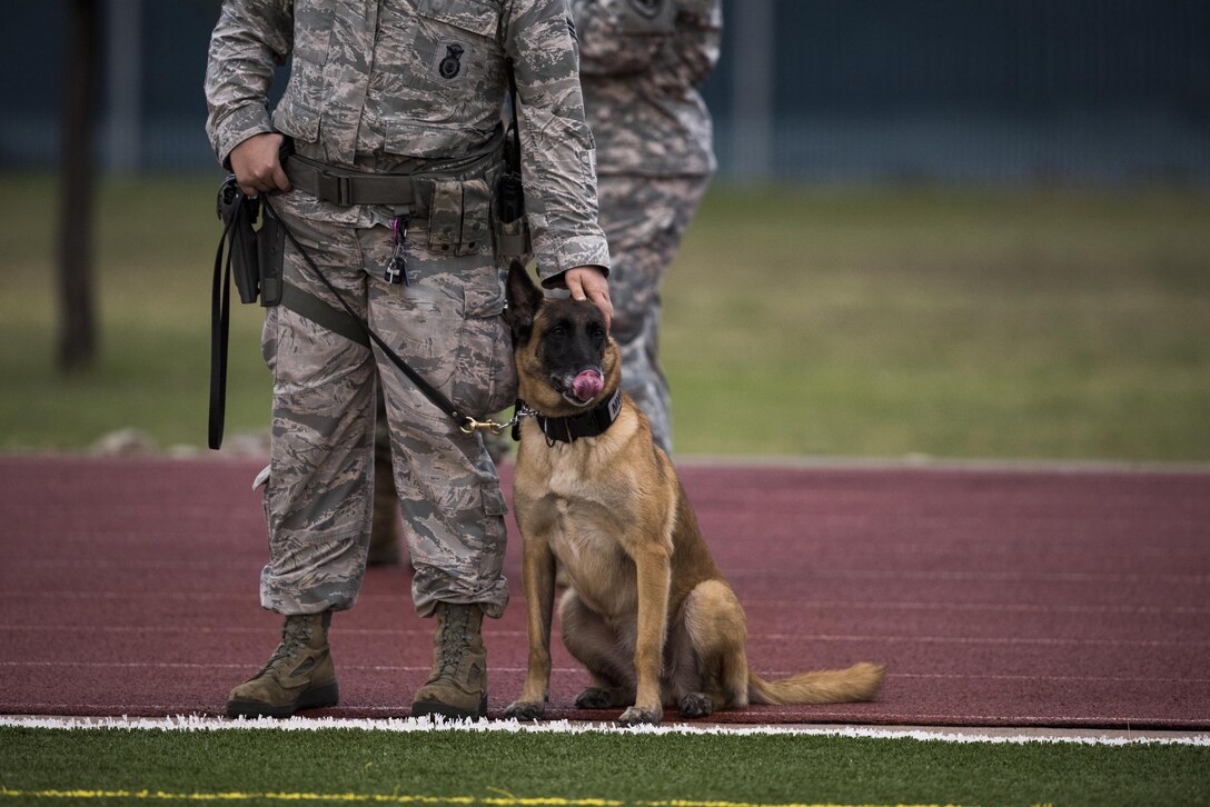 U.S. Air Force Military Working Dog, Joy, and her handler watch the Army vs. Navy football game at the Mathis Fitness Center football field on Goodfellow Air Force Base, Texas, Dec. 2, 2016. Even though the game pitted the Army and Navy against each other, members from all services supported the event. (U.S. Air Force photo by Senior Airman Devin Boyer/Released)