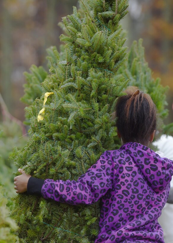A child picks out a tree during Christmas SPIRIT Foundation’s Trees for Troops program at Joint Base Langley-Eustis, Va., Dec. 5, 2016. Trees for Troops is a non-profit program that provides free-farm grown Christmas trees to service members around the world. (U.S. Air Force photo by Staff Sgt. Natasha Stannard)