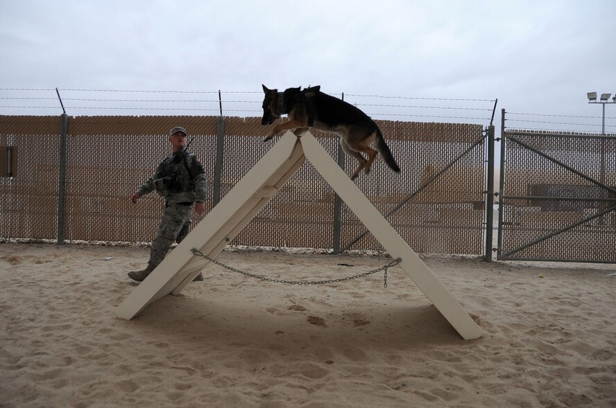 This week's Rock Solid Warrior is Senior Airman Paul Little, a 386th Expeditionary Security Forces Squadron military working dog handler. Little is deployed from the 27th Special Operations Wing at Cannon Air Force Base N.M. (U.S. Air Force photo/Senior Airman Andrew Park)