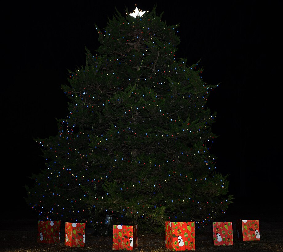 The lit holiday tree from the 61st annual Holiday Tree Lighting celebration at Joint Base Langley-Eustis, Va., Dec. 2, 2016 can be seen at Seay Plaza on Fort Eustis. Members of the JBLE community gathered to celebrate the holiday season by lighting the decorated tree, making crafts and meeting with Santa and Mrs. Clause. (U.S. Air Force photo by Staff Sgt. Teresa J. Cleveland)