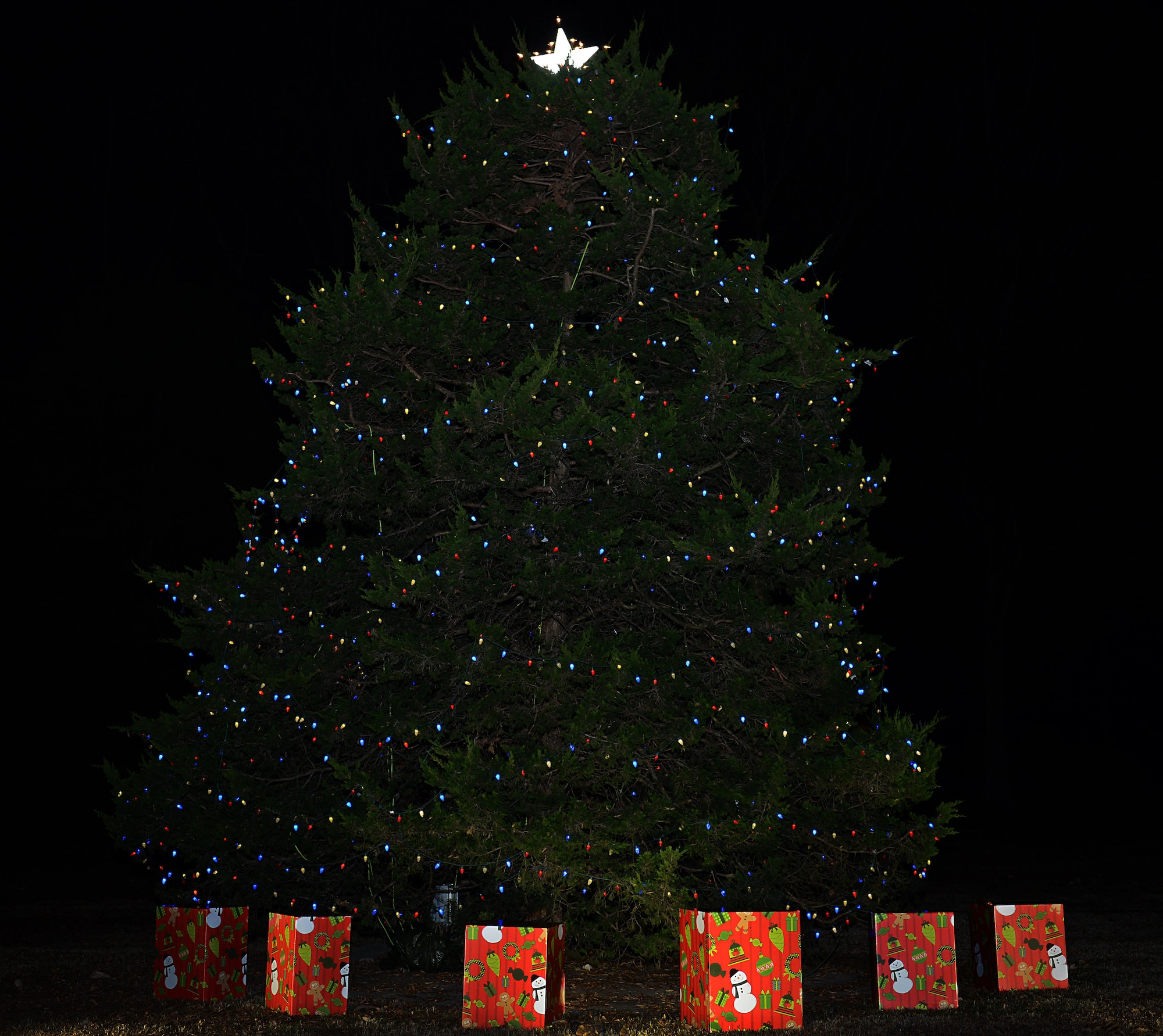 The lit holiday tree from the 61st annual Holiday Tree Lighting celebration at Joint Base Langley-Eustis, Va., Dec. 2, 2016 can be seen at Seay Plaza on Fort Eustis. Members of the JBLE community gathered to celebrate the holiday season by lighting the decorated tree, making crafts and meeting with Santa and Mrs. Clause. (U.S. Air Force photo by Staff Sgt. Teresa J. Cleveland)