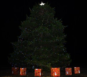 The lit holiday tree from the 61st annual Holiday Tree Lighting celebration at Joint Base Langley-Eustis, Va., Dec. 2, 2016 can be seen at Seay Plaza on Fort Eustis. Members of the JBLE community gathered to celebrate the holiday season by lighting the decorated tree, making crafts and meeting with Santa and Mrs. Clause. (U.S. Air Force photo by Staff Sgt. Teresa J. Cleveland)