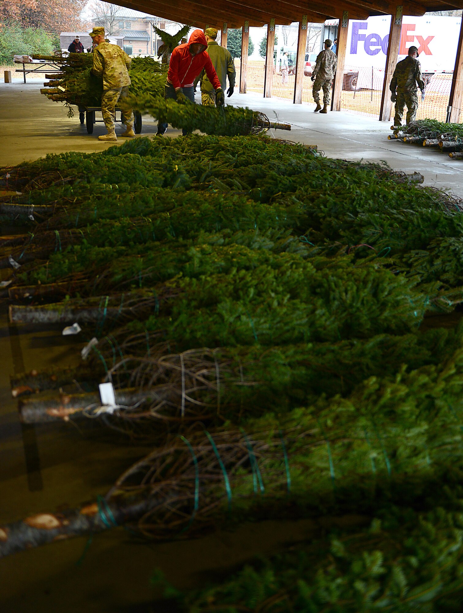U.S. Army Soldier volunteers lay out fresh-cut trees from the Christmas SPIRIT Foundation’s Trees for Troops program at Joint Base Langley-Eustis, Va., Dec. 5, 2016. Since 2005, the program has donated over 176,000 trees at more than 65 military installations in the U.S. and overseas. (U.S. Air Force photo by Staff Sgt. Teresa J. Cleveland)