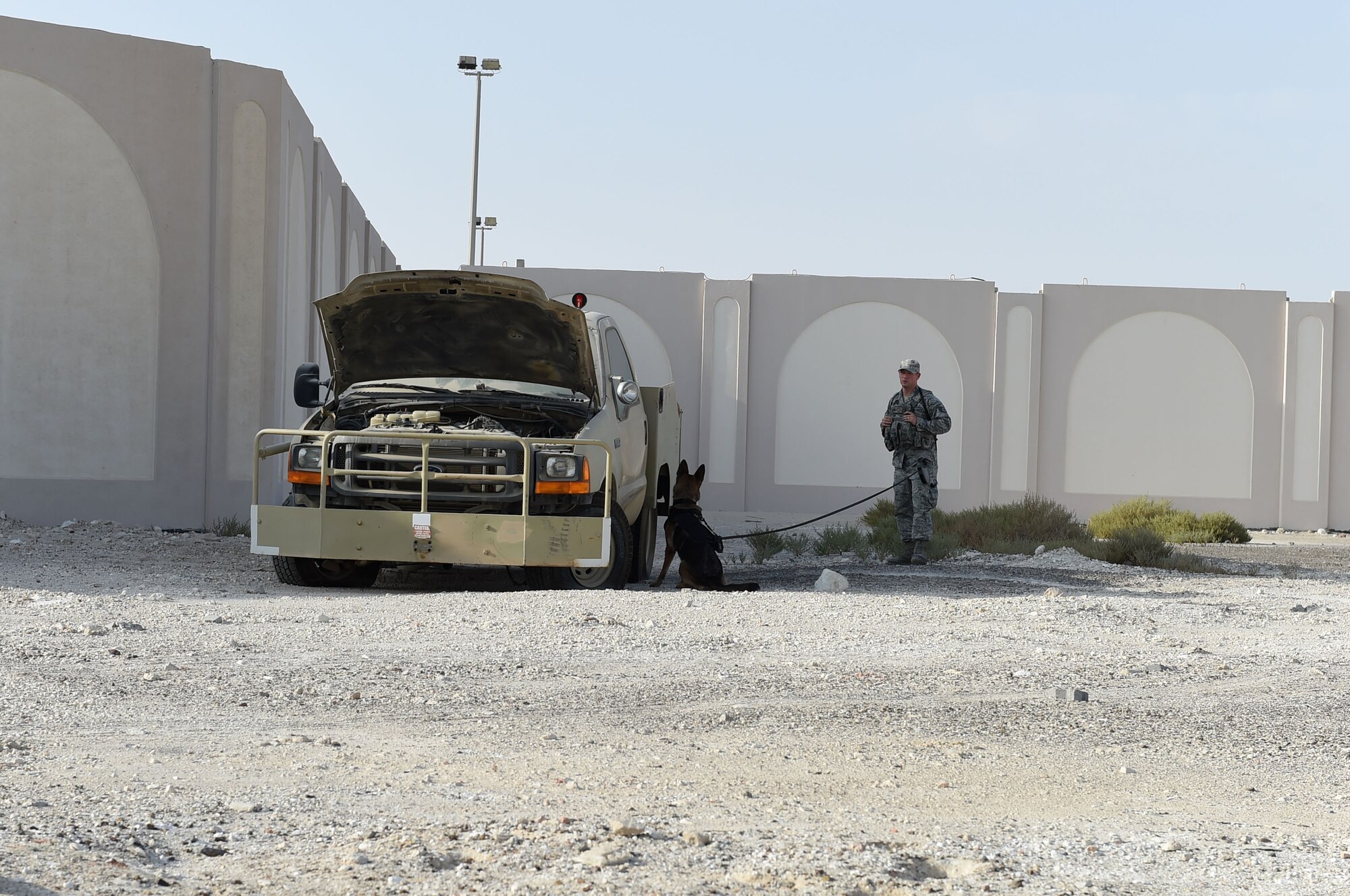 A 380th Expeditionary Security Forces military working dog handler and his dog inspect a suspicious vehicle during a training exercise at an undisclosed location, Nov. 25, 2016. Military working dogs are used for a wide range of activities – in this case, detecting explosive materials; they’re behavioral changes provide handlers with information to assess different situations. (U.S. Air Force photo by Tech. Sgt. Christopher Carwile)