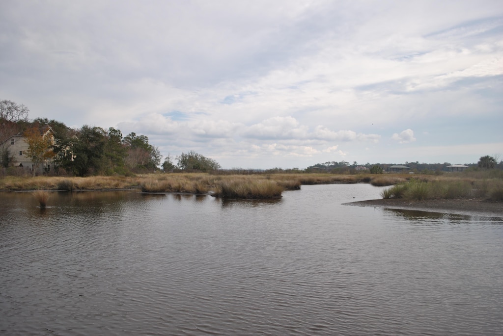 A view of the Big Fishweir Creek project area.
