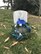The Society of Air Force Nurses gathered a group of active duty and retired nurses from around the area and headed to Arlington National Cemetery to lay wreaths on the tombstones of the nurses buried there. December 8, 2016. 