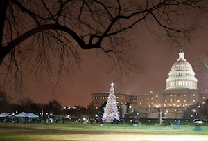 The U.S. Capitol Christmas Tree is lit during a ceremony while the U.S. Air Force Ceremonial Brass Band performs several classic Christmas standards on the Capitol’s West Front Lawn, Washington D.C., Dec. 6, 2016. The U.S. Capitol Christmas Tree will remain lit from nightfall until 11 p.m. each evening through December 25, 2016. 