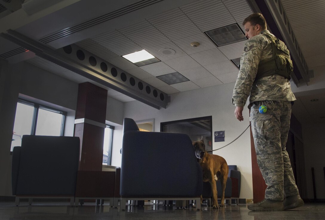 Staff Sgt. Derek Scrivener, 11th Security Forces Squadron military working dog handler, does a practice sweep at the passenger terminal with MWD Lenox at Joint Base Andrews, Md., Dec. 8, 2016. The military working dog section supports approximately 210 distinguished visitor missions and more than 720 perimeter sweeps per year. (U.S. Air Force photo by Senior Airman Mariah Haddenham)