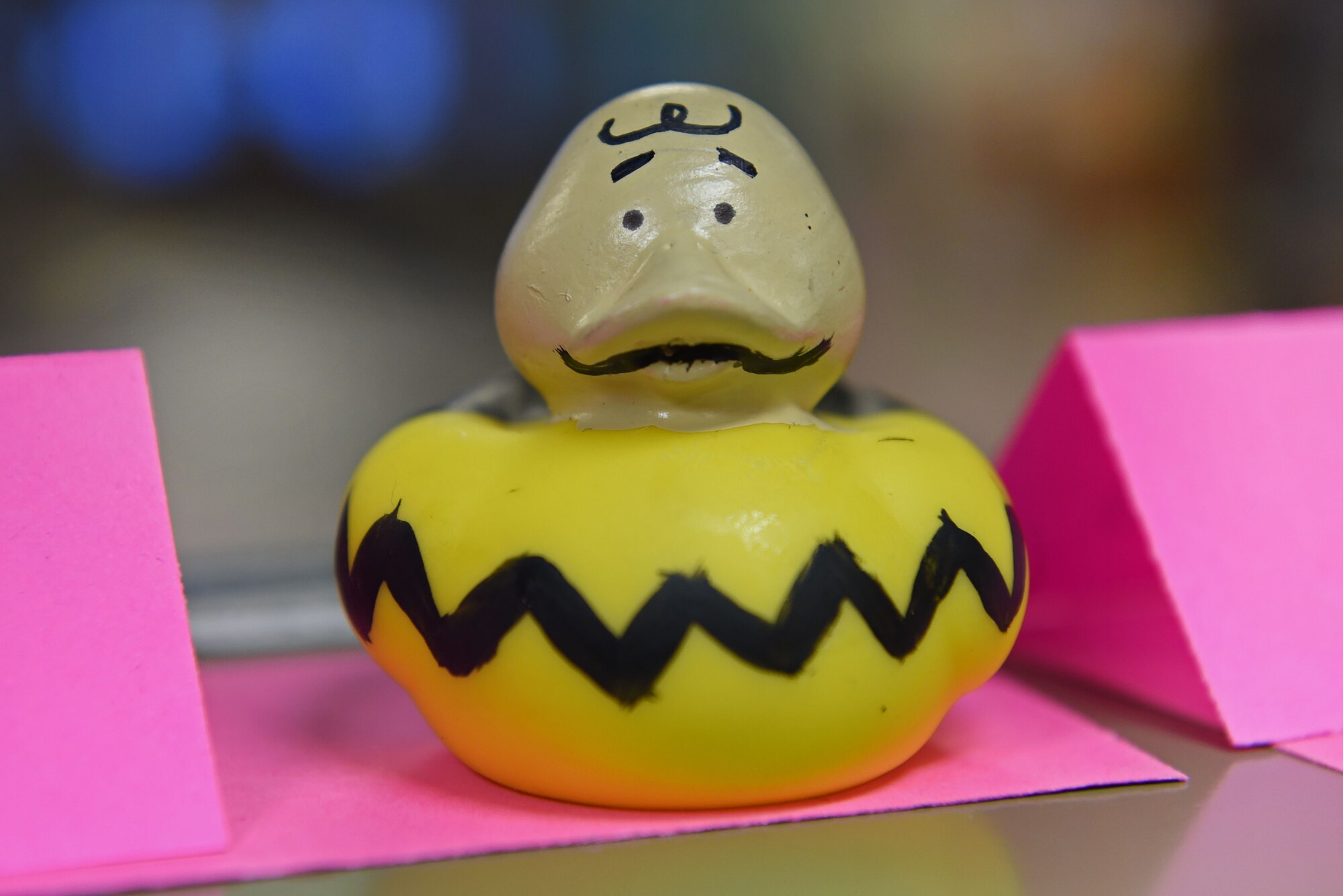 Decorated discount rubber ducks