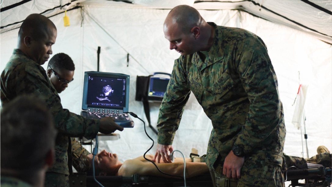 Lt. Cmdr. Bassett instructs Petty Officer 3rd Class Stephon Strong and Petty Officer 2nd Class Carlian Bravo on how to use ultra-sound equipment at Camp Story, Republic of Korea during Winter Workhorse Exercise Dec. 12, 2016. Winter Workhorse is an annual exercise designed to train Marines and sailors to carry out mission essential tasks in a simulated forward-deployed environment.  Strong, from Bronx, New York and Bravo, from the Philippines, are with Bravo Company, 3d Medical Battalion, 3rd Marine Logistics Group, III Marine Expeditionary Force. 