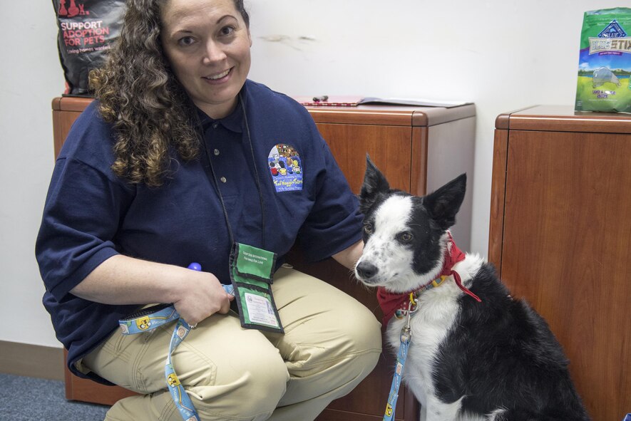 Taffy, certified therapy dog, and his owner Deanna Melin pose for a photo at Yokota Air Base, Japan, Dec. 7, 2016. As a therapy dog, Taffy is a rescue dog who provides emotional support to children with learning difficulties. (U.S. Air Force photo by Senior Airman David C. Danford/Released)