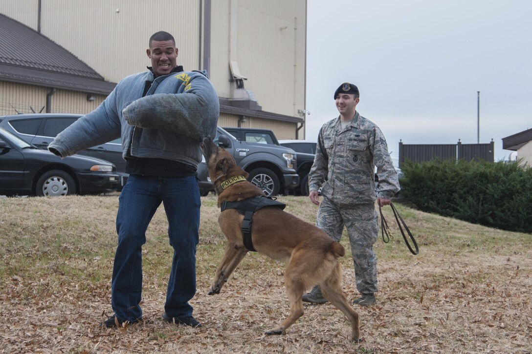 Jason Jordan, World Wrestling Entertainment Superstar, participates in a military working dog demonstration with Staff Sgt. Benny Dorman, 11th Security Support Squadron military working dog handler, and his dog, Marco, at Joint Base Andrews, Md., Dec. 13, 2016. As part of a tour of JBA, the WWE Superstars viewed and interacted with the security forces MWD section, combat gear, weapons systems and other aspects of the unit. (U.S. Air Force photo by Senior Airman Jordyn Fetter)