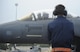 A U.S. Air Force F-15E Strike Eagle pilot from the 336th Fighter Squadron, Mountain Home Air Force Base, Idaho, receives marshalling instructions from a maintainer on the flightline at Tyndall, Air Force Base, Fla., during Checkered Flag 17-1 Dec. 5, 2016. The 336th FS and other Air Force units deployed to Tyndall AFB to participate in Checkered Flag 17-1, a large-scale aerial total force integration exercise. (U.S. Air Force photo by Senior Airman Solomon Cook/Released)