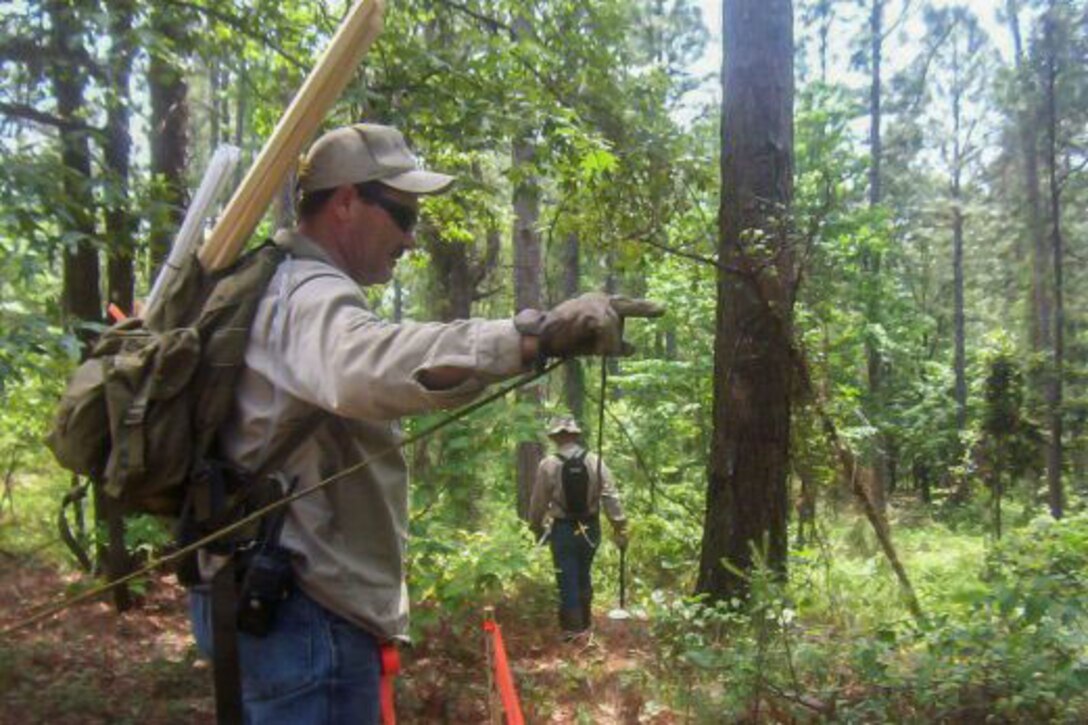 Transect lanes were laid out during an investigation of unexploded ordnance in 2003 at Camp Claiborne, La., a World War II training site. The U.S. Forest Service now manages the land, which is to be cleaned up by the Army Corps of Engineers under the Formerly Used Defense Sites program. Photo by Army Corps of Engineers