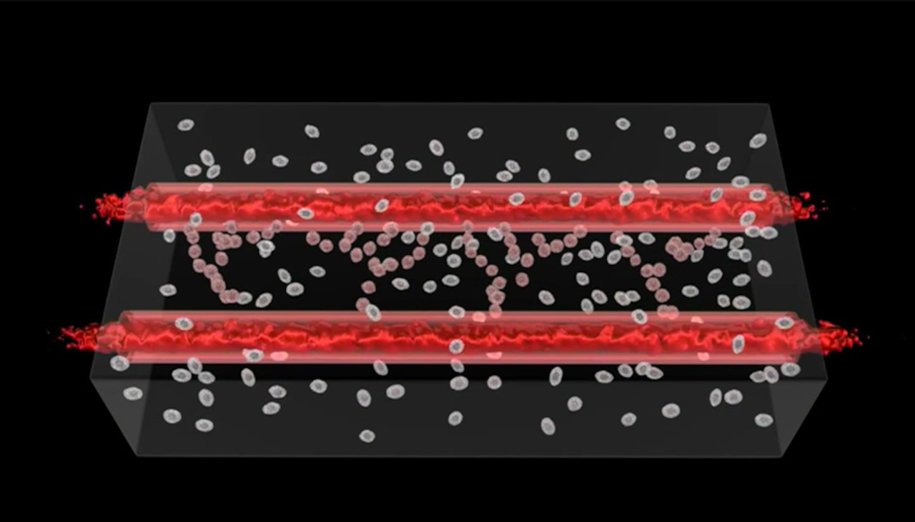 Researchers at Lawrence Livermore National Laboratory say the precision and 3D structures made possible through bioprinting are enabling them to more effectively reproduce human physiology outside of the body, which will eventually lead to a better representation of each tissue system that makes up the human body. Department of Energy graphic