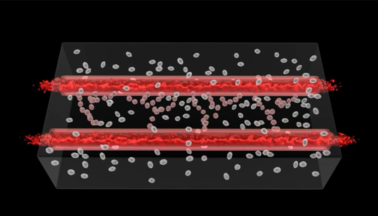 Researchers at Lawrence Livermore National Laboratory say the precision and 3D structures made possible through bioprinting are enabling them to more effectively reproduce human physiology outside of the body, which will eventually lead to a better representation of each tissue system that makes up the human body. Department of Energy graphic