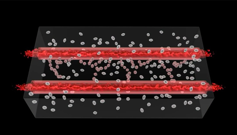 Researchers at Lawrence Livermore National Laboratory say the precision and 3D structures made possible through bioprinting are enabling them to more effectively reproduce human physiology outside of the body, which will eventually lead to a better representation of each tissue system that makes up the human body. Department of Energy graphic