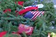 Wreaths lie on the ground waiting to be placed on stands at Sumter Cemetery in Sumter, S.C., Dec. 17, 2016. Wreaths Across America promotes laying wreaths on veterans’ graves to remember and honor them. (U.S. Air Force photo by Airman 1st Class BrieAnna Stillman) 