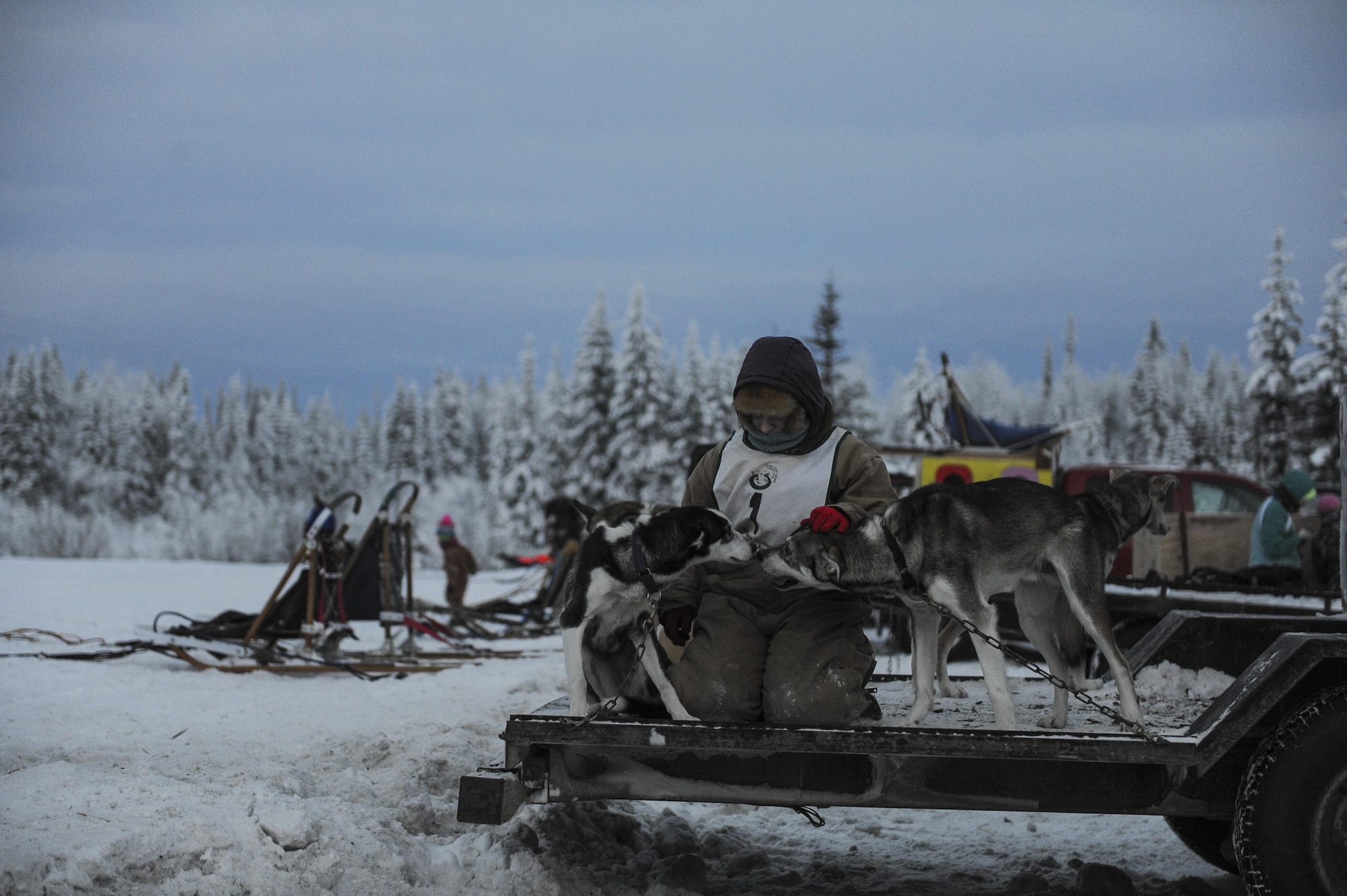 A junior musher from the Junior Mushers Association of Interior Alaska, comforts their dogs before a race Dec. 17, 2016, at the 338 pond near Eielson Air Force Base, Alaska. The junior musher waited for their first race of the season. (U.S. Air Force photo by Airman Isaac Johnson)