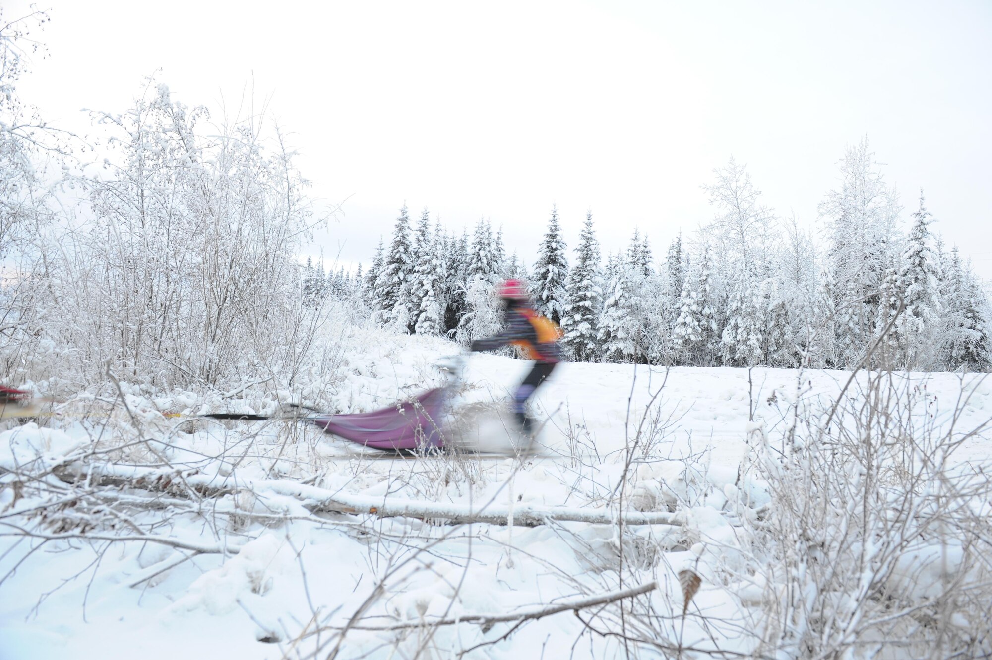 A junior musher from the Junior Mushers Association of Interior Alaska, begins their race Dec. 17, 2016, at the 338 Pond across from Eielson Air Force Base, Alaska. Mushers from the greater Fairbanks area came out to compete in the race. (U.S. Air Force photo by Airman Isaac Johnson)
