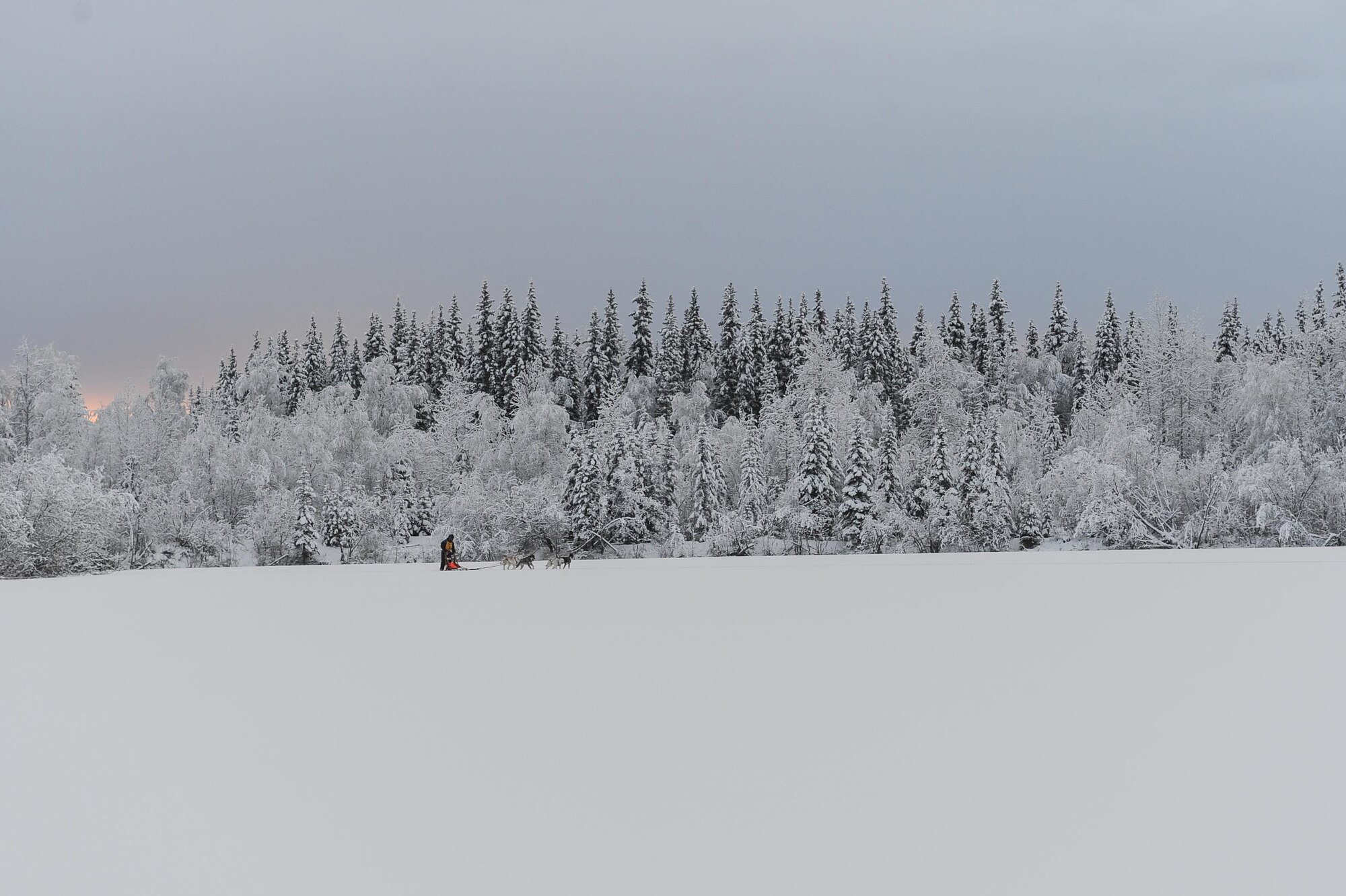 A junior musher from the Junior Mushers Association of Interior Alaska, rides around the 338 Pond during their first race of the mushing season Dec. 17 2016, near Eielson Air Force Base, Alaska. The 354th Civil Engineer Squadron hauled snow from base, which provided a solid foundation for junior mushers to hook into when they lined up their dogs. (U.S. Air Force photo by Airman Isaac Johnson)