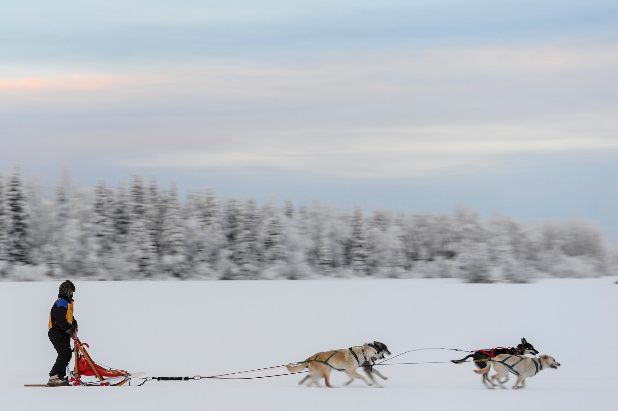 A junior musher from the Junior Mushers Association of Interior Alaska, rides across a frozen pond Dec. 17, 2016, near Eielson Air Force Base, Alaska. Multiple agencies and volunteers from the 354th Fighter Wing teamed up with the junior mushers to help put on this race. (U.S. Air Force photo by Airman Isaac Johnson)