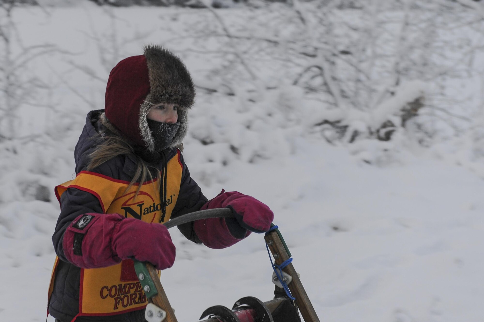 A junior musher from the Junior Mushers Association of Interior Alaska, rides their sled through the snow Dec. 17, 2016, near Eielson Air Force Base, Alaska. Mushing is part of Alaska’s heritage which dates back to the origins of the Iditarod when sled dog teams had to deliver medicine. (U.S. Air Force photo by Airman Isaac Johnson)
