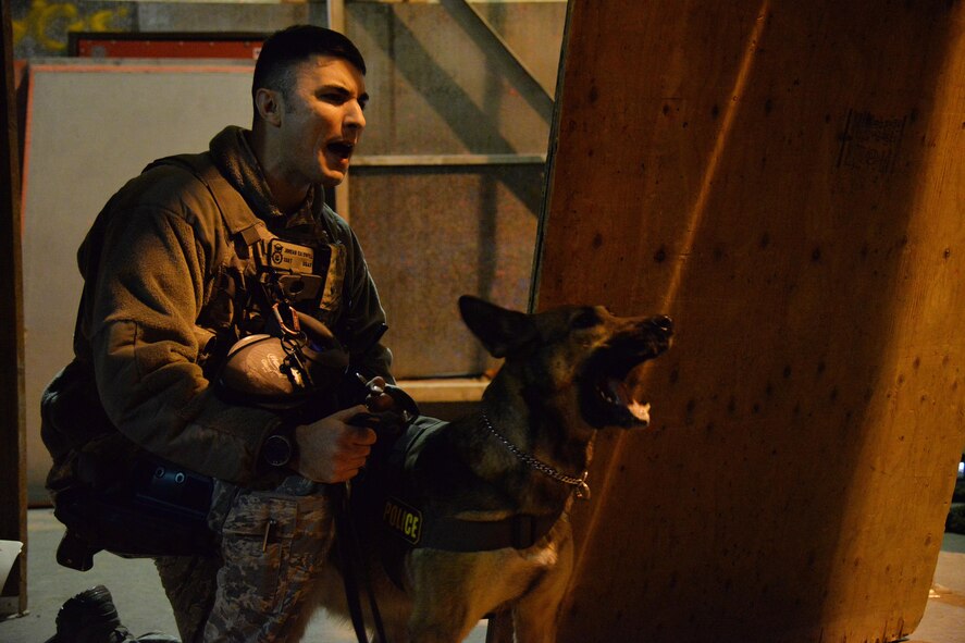 Staff Sgt. Jordan Caldwell, 341st Security Forces Squadron military working dog handler, and his K-9 Lady, train Dec. 20, 2016, at Malmstrom Air Force Base, Mont. Caldwell and Lady must train each week to advance companionship and stay prepared to assist the mission. (U.S. Air Force photo/Airman 1st Class Daniel Brosam)