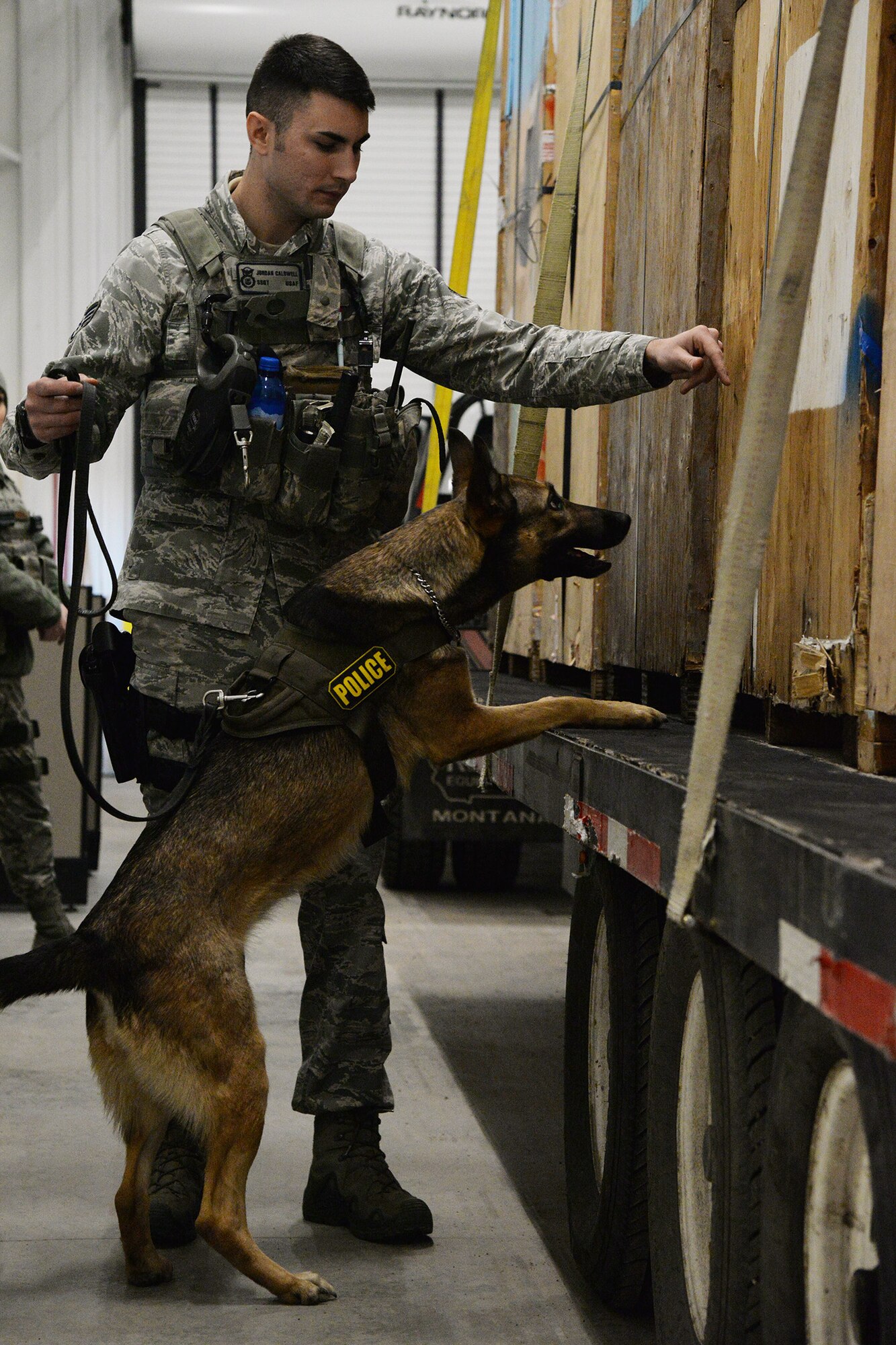Staff Sgt. Jordan Caldwell, 341st Security Forces Squadron military working dog handler, and his K-9 Lady, search a vehicle Dec. 21, 2016, at Malmstrom Air Force Base, Mont. Caldwell and his dog search vehicles each day to ensure no illegal contraband is brought onto the installation and to keep base personnel safe. (U.S. Air Force photo/Airman 1st Class Daniel Brosam)