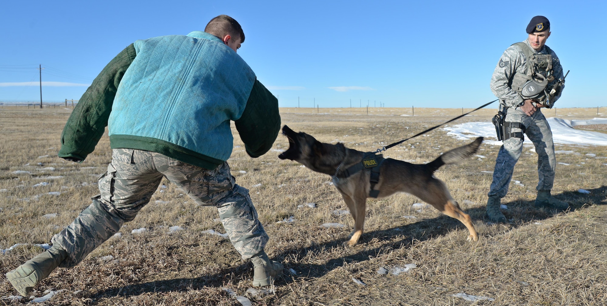 Staff Sgt. Jordan Caldwell, 341st Security Forces Squadron military working dog handler, and his K-9 Lady conduct controlled aggression training Dec. 21, 2016, at Malmstrom Air Force Base, Mont. Caldwell and Lady perform this training multiple times each week to stay ready and prepare for anything they may encounter. (U.S. Air Force photo/Airman 1st Class Daniel Brosam)