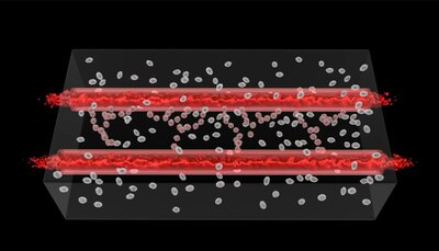 Researchers at Lawrence Livermore National Laboratory say the precision and 3D structures made possible through bioprinting are enabling them to more effectively reproduce human physiology outside of the body, which will eventually lead to a better representation of each tissue system that makes up the human body. Department of Energy graphic