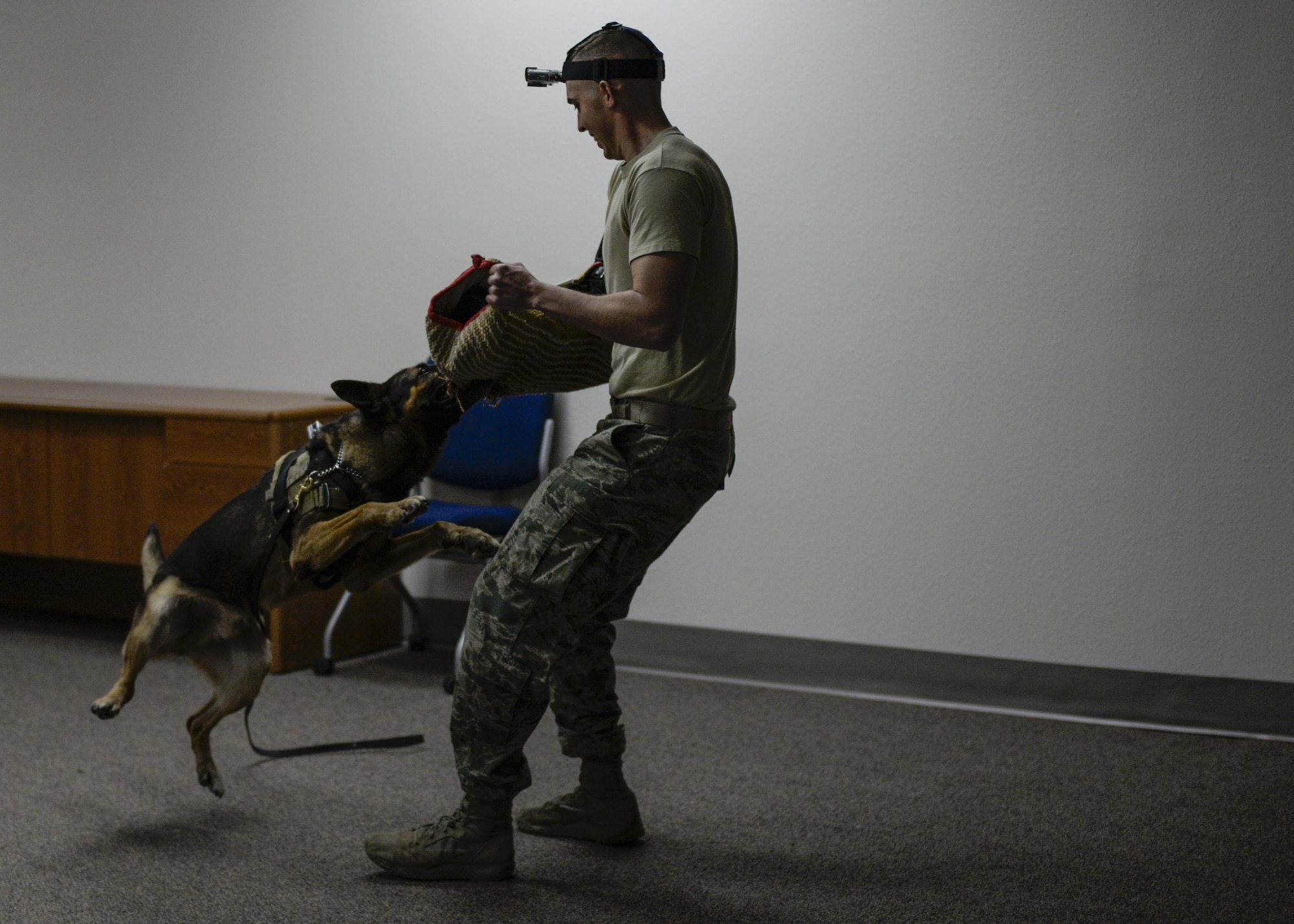 Staff Sgt. Jeremy, a military working dog handler with the 49th Security Forces Squadron, and his military working dog, Jacob, engage in a patrol simulation at Holloman Air Force Base, N.M. Dec. 7, 2016. Holloman’s MWDs are trained in basic obedience and aggression, and regularly engage in patrol simulations, where they practice explosive and narcotics detection. (U.S. Air Force photo by Airman 1st Class Alexis P. Docherty)