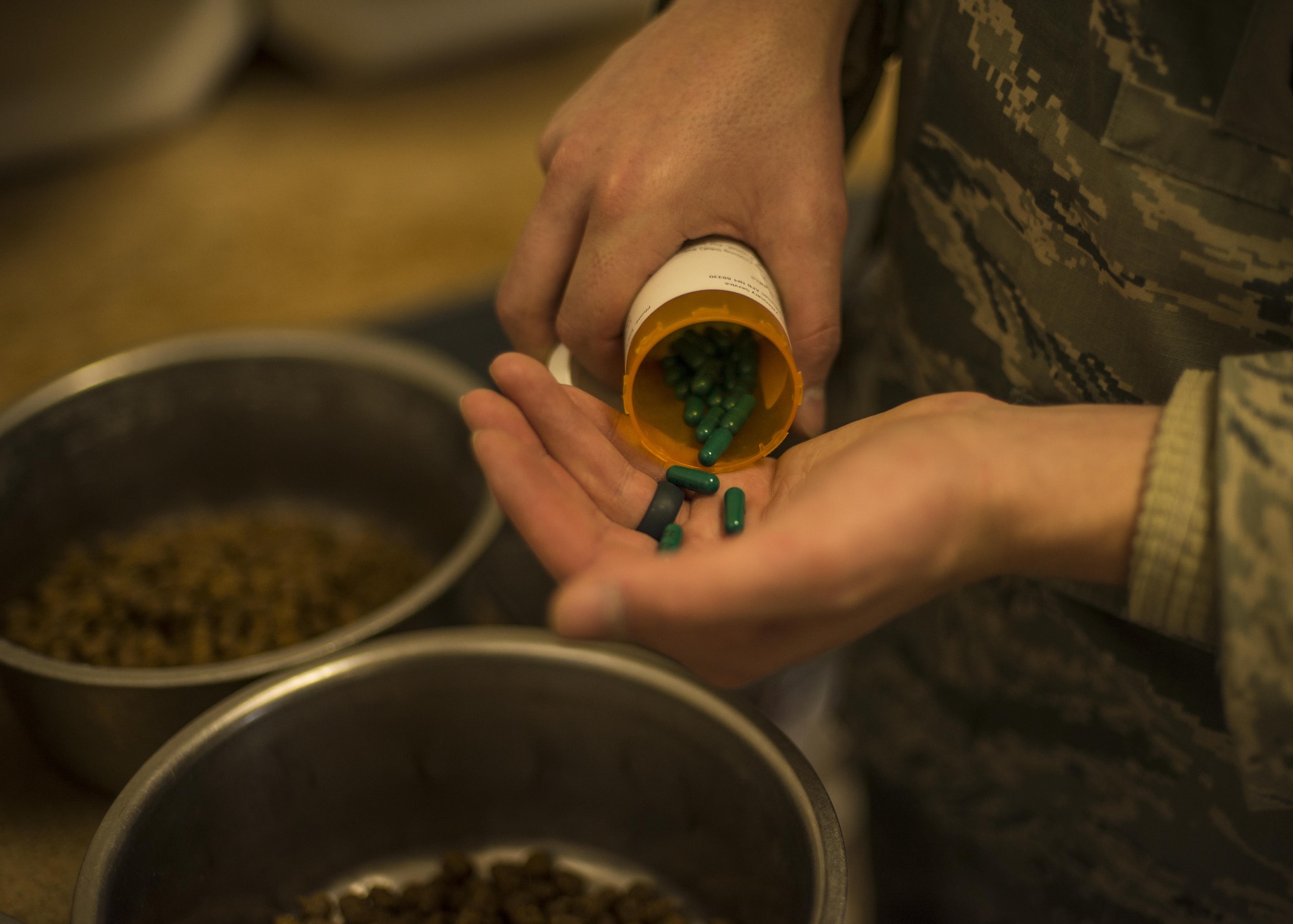 A military working dog handler, with the 49th Security Forces Squadron, measures and transfers medication into an ill military working dog’s bowl at Holloman Air Force Base, N.M. Dec. 12, 2016. Four of Holloman’s MWDs are battling health and medical related issues. To prevent and combat illness, the dogs routinely attend dental and medical checkups at the veterinary clinic on base. (U.S. Air Force photo by Airman 1st Class Alexis P. Docherty)

