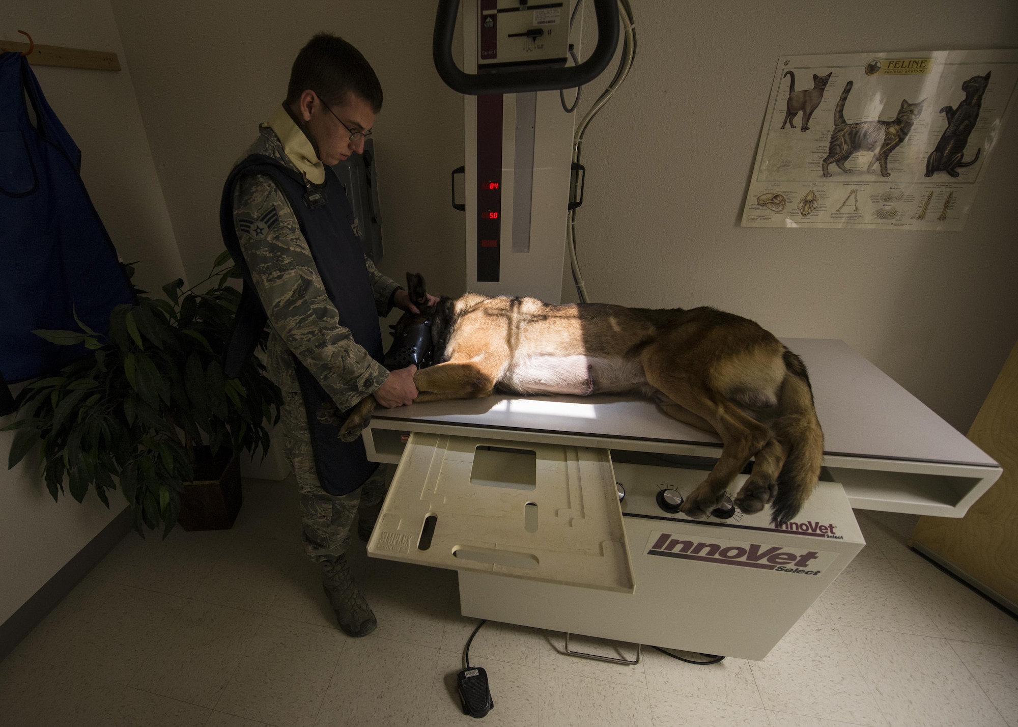 Staff Sgt. David, a military working dog handler with the 49th Security Forces Squadron, assists his military working dog, Dylan, during an x-ray scan at the veterinary clinic at Holloman Air Force Base, N.M. Dec. 13, 2016. Four of Holloman’s MWDs are battling health and medical related issues. To prevent and combat illness, the dogs routinely attend dental and medical checkups at the veterinary clinic on base. (Last names are being withheld due to operational requirements. U.S. Air Force photo by Airman 1st Class Alexis P. Docherty)
