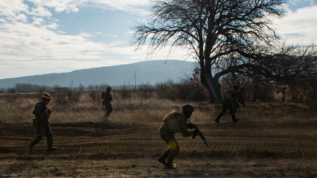 U.S. Marines completed Exercise Platinum Lion 17.1, conducting multiple training operations alongside eight partner nations from the Black Sea and Caucasus regions in Novo Selo Training Area, Bulgaria, 12 Dec. to 21 Dec. 2016, to improve interoperability and tactical strength amongst NATO partners.