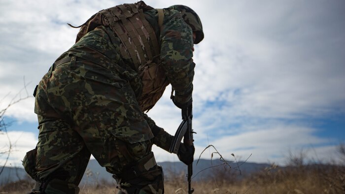 U.S. Marines completed Exercise Platinum Lion 17.1, conducting multiple training operations alongside eight partner nations from the Black Sea and Caucasus regions in Novo Selo Training Area, Bulgaria, 12 Dec. to 21 Dec. 2016, to improve interoperability and tactical strength amongst NATO partners.
