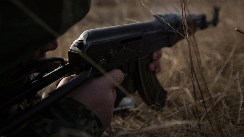 U.S. Marines completed Exercise Platinum Lion 17.1, conducting multiple training operations alongside eight partner nations from the Black Sea and Caucasus regions in Novo Selo Training Area, Bulgaria, 12 Dec. to 21 Dec. 2016, to improve interoperability and tactical strength amongst NATO partners.