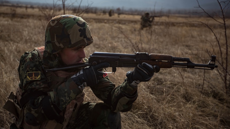 U.S. Marines completed Exercise Platinum Lion 17.1, conducting multiple training operations alongside eight partner nations from the Black Sea and Caucasus regions in Novo Selo Training Area, Bulgaria, 12 Dec. to 21 Dec. 2016, to improve interoperability and tactical strength amongst NATO partners.