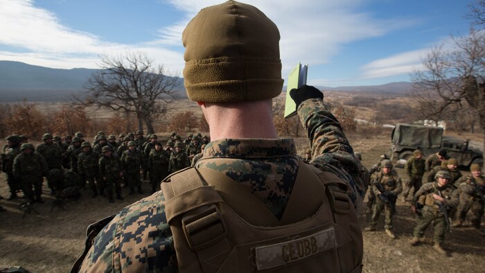 U.S. Marines completed Exercise Platinum Lion 17.1, conducting multiple training operations alongside eight partner nations from the Black Sea and Caucasus regions in Novo Selo Training Area, Bulgaria, 12 Dec. to 21 Dec. 2016, to improve interoperability and tactical strength amongst NATO partners.