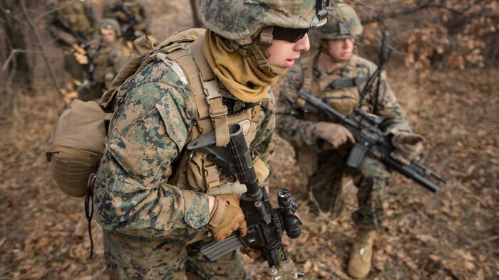 U.S. Marines completed Exercise Platinum Lion 17.1, conducting multiple training operations alongside eight partner nations from the Black Sea and Caucasus regions in Novo Selo Training Area, Bulgaria, 12 Dec. to 21 Dec. 2016, to improve interoperability and tactical strength amongst NATO partners.