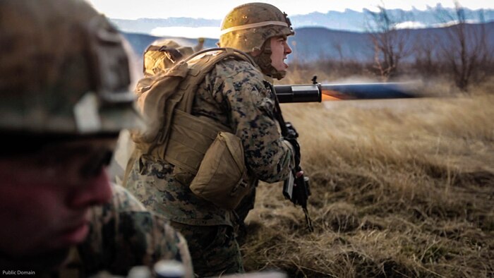 U.S. Marines completed Exercise Platinum Lion 17.1, conducting multiple training operations alongside eight partner nations from the Black Sea and Caucasus regions in Novo Selo Training Area, Bulgaria, 12 Dec. to 21 Dec. 2016, to improve interoperability and tactical strength amongst NATO partners.