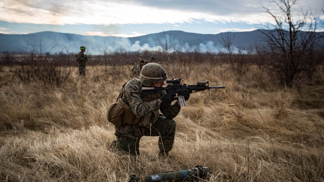 U.S. Marines completed Exercise Platinum Lion 17.1, conducting multiple training operations alongside eight partner nations from the Black Sea and Caucasus regions in Novo Selo Training Area, Bulgaria, 12 Dec. to 21 Dec., 2016, to improve interoperability and tactical strength amongst NATO partners.