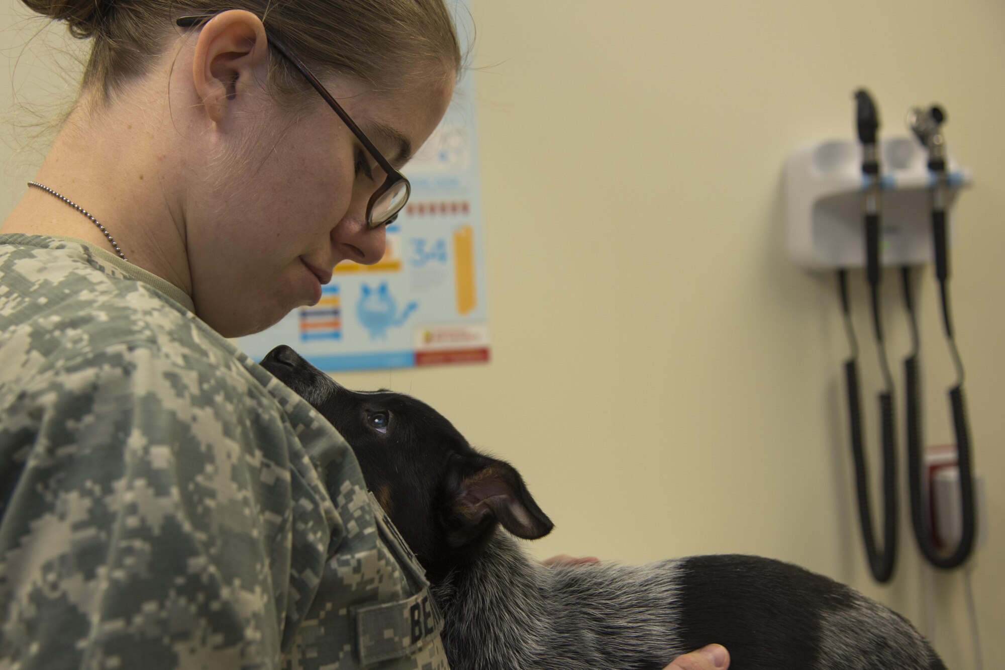 Caretakers of Andrews’ furry warriors > 459th Air Refueling Wing