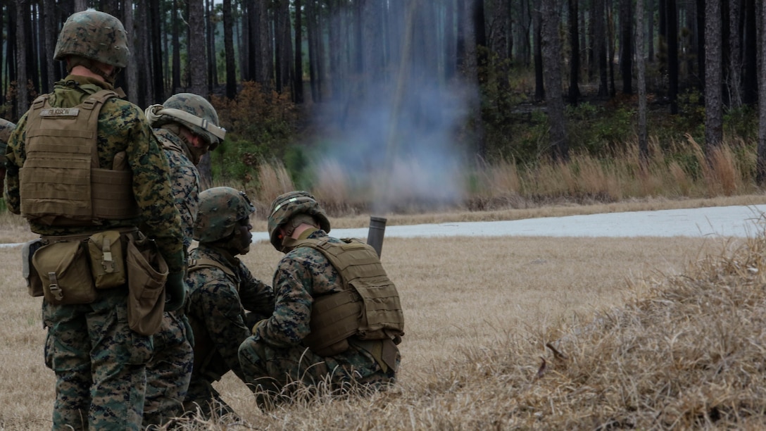 Marines with Company F, 2nd Battalion, 8th Marine Regiment, fire an M224 60mm light-weight mortar system during a field exercise at Marine Corps Base Camp Lejeune, N.C., Jan. 28, 2016. Marines used organic company-level weapon systems during the exercise, reinforcing the fundamentals associated with each. 