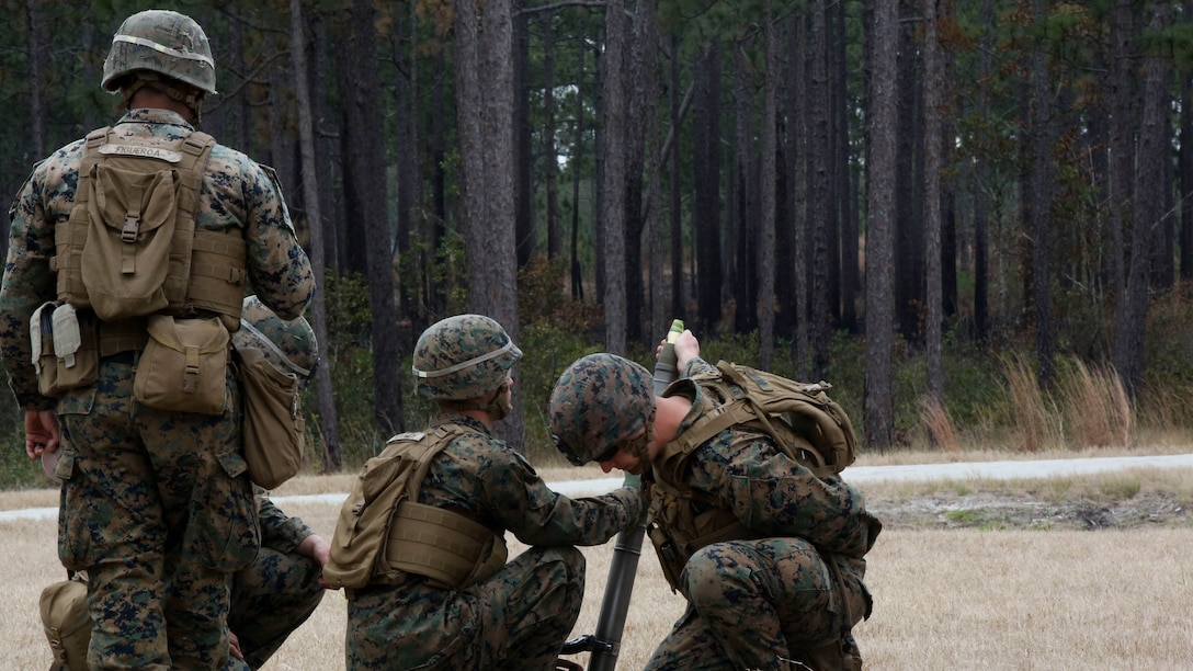 Marines with Company F, 2nd Battalion, 8th Marine Regiment, fire an M224 60mm light-weight mortar system during a field exercise at Marine Corps Base Camp Lejeune, N.C., Jan. 28, 2016. Marines used organic company-level weapon systems during the exercise, reinforcing the fundamentals associated with each. 