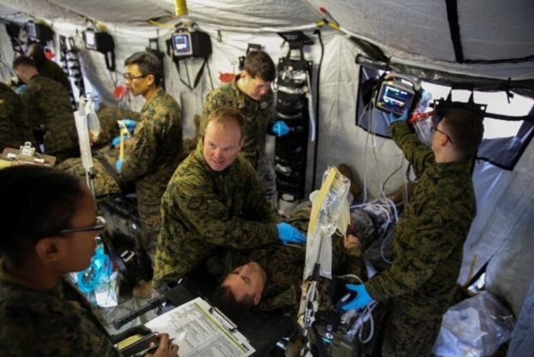 Corpsmen with 2nd Medical Battalion treat notional injuries as part of training exercise in preparation for their upcoming multinational exercise, Cold Response 16.1, in Norway at Camp Lejeune, N.C, Jan. 28, 2016.  The corpsmen were evaluated after every scenario in order to better understand what they did for each patient, and why they did it.  (U.S. Marine Corps photo by Cpl. Michael Dye/Released) 