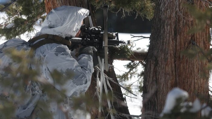 A Marine with Alpha Company, 2nd Assault Amphibian Battalion, holds his post as his platoon prepares to ambush a notional enemy during Mountain Exercise 1-16, at Mountain Warfare Training Center in Bridgeport, California, Jan. 12, 2016. Marines with the unit took on the Mountain Warfare Course in preparation for Exercise Cold Response 16 in the near future.