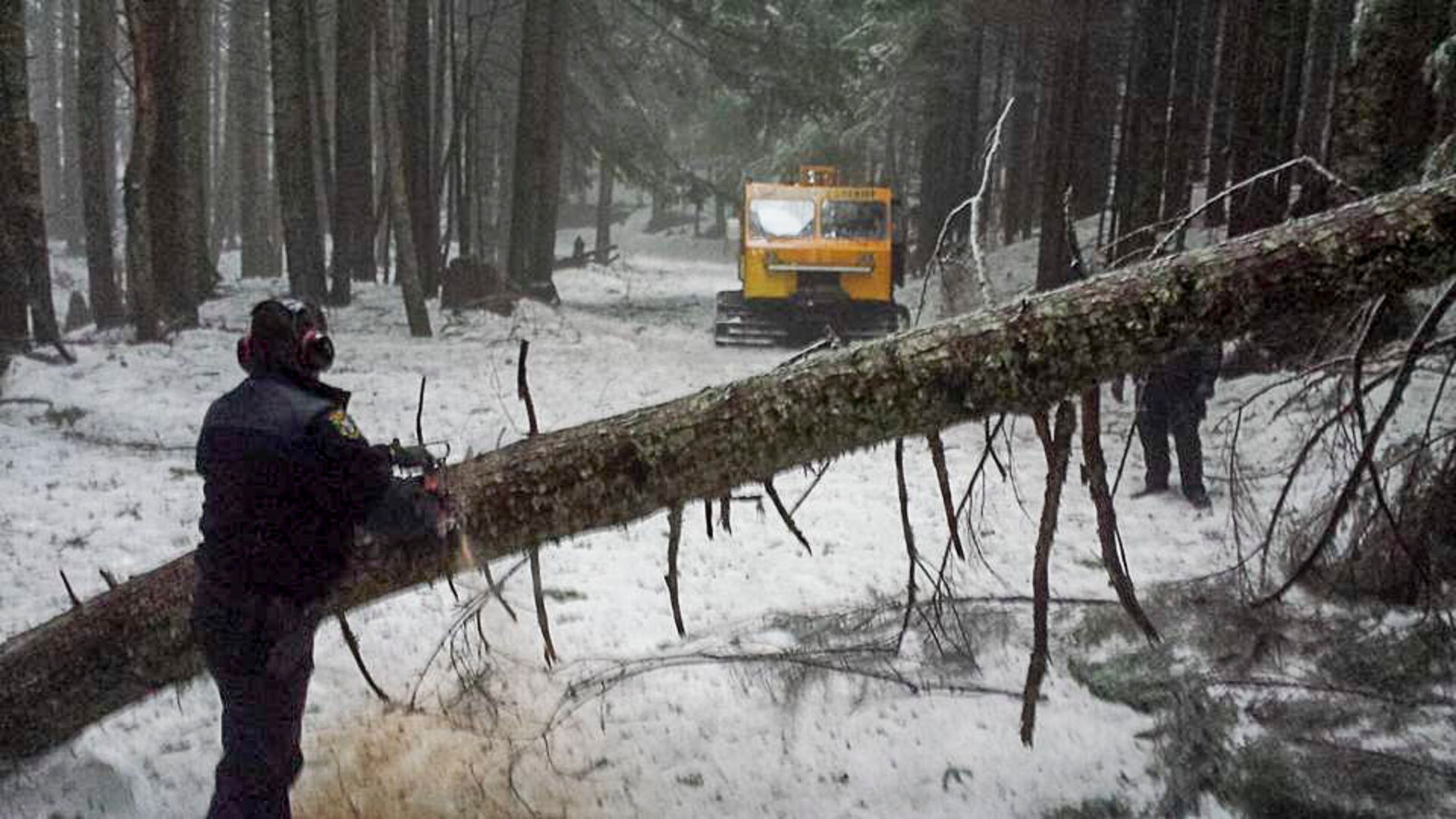 An officer from the King County Sheriff's Office works to clear a fallen tree out of the way of the Snowcat during the rescue operation. The Sheriff's office recently acquired the cat from DLA Disposition Services. Photo provided by the King County Sheriff's Office