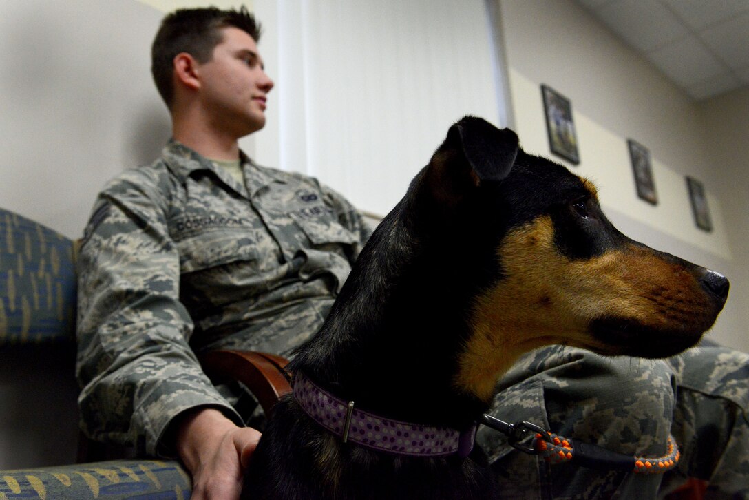 A U.S. Air Force Airman sits with his dog in the waiting room of the Shaw Veterinary Treatment Facility at Shaw Air Force Base, S.C., Jan. 27, 2016. The Shaw VTF offers annual check-ups as well as vaccines. (U.S. Air Force photo by Airman 1st Class Destinee Dougherty)